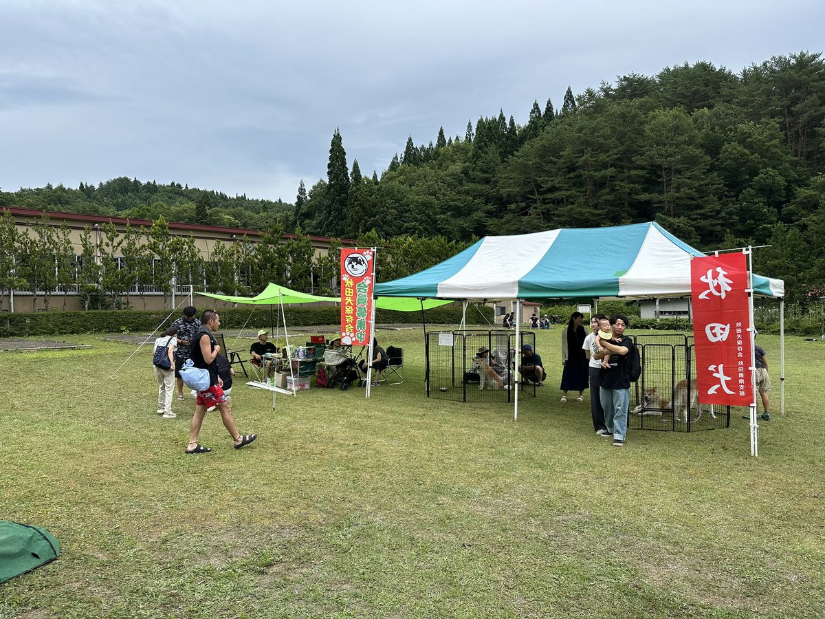 tazawako's tweet image. 【秋田犬保存会秋田県南支部】
場所:田沢湖レストハウス芝生広場
展示ふれあい時間:11時~15時
かわいい子犬も遊びに来るそうですよ♪
#423m
#仙北市
#田沢湖
#たざわ湖龍神まつり