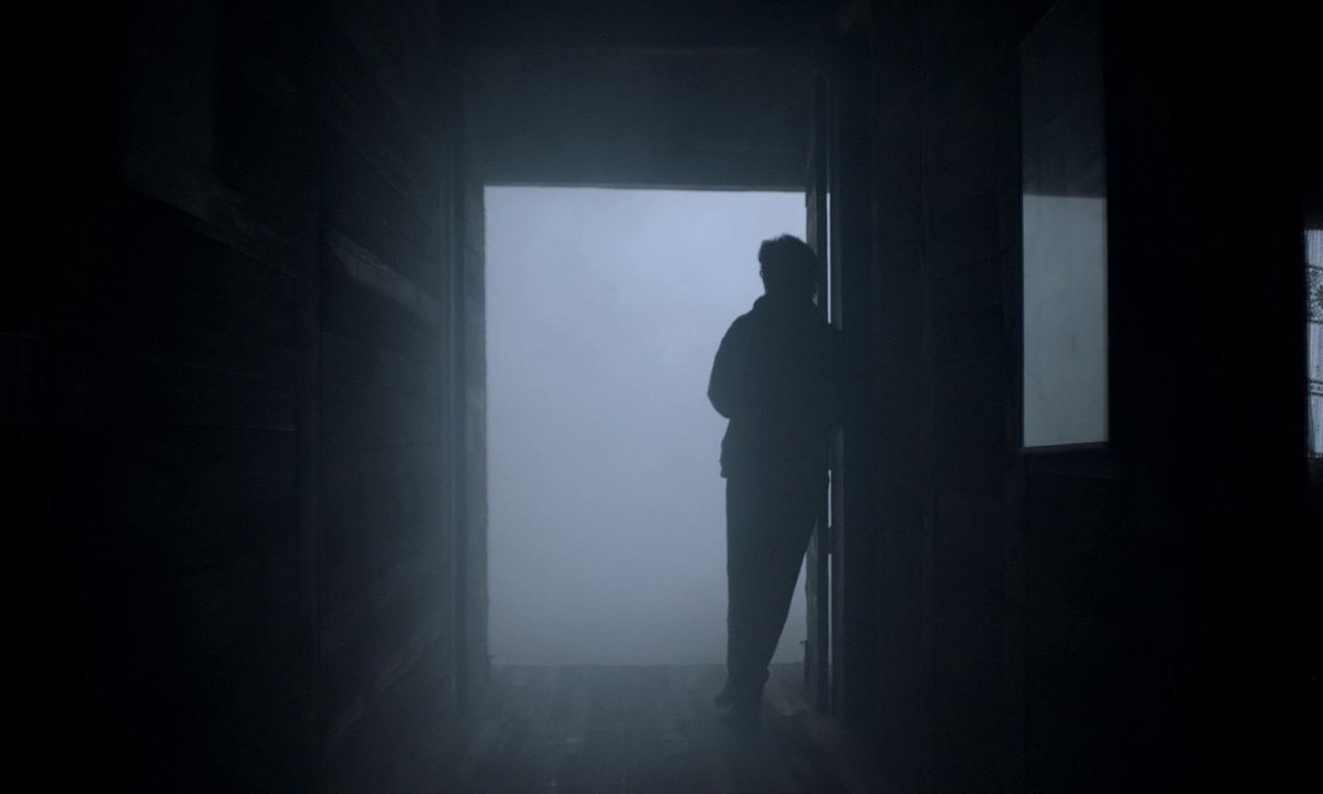 CinemaisSimple's tweet image. The Untamed (2016)