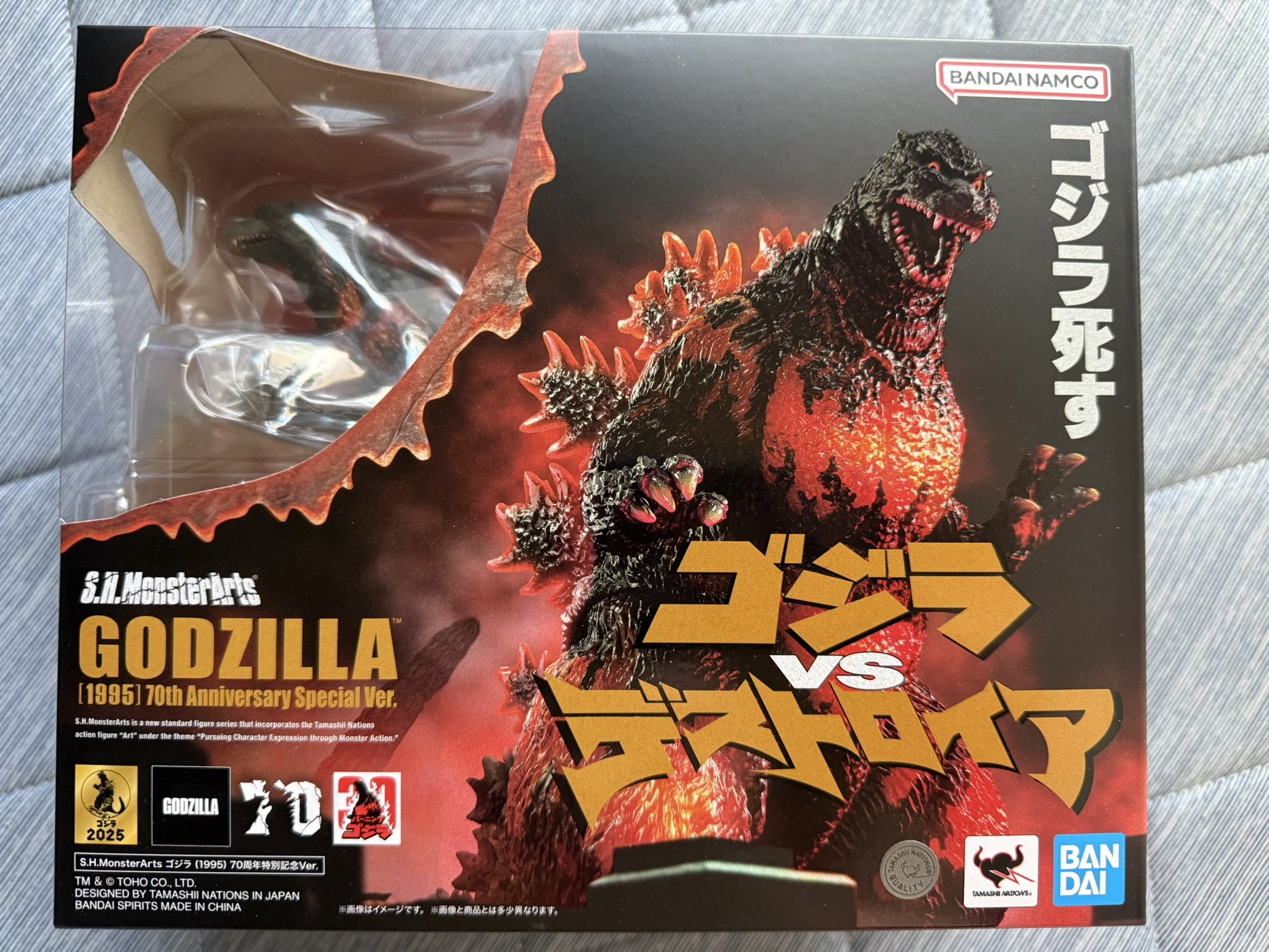 ゴジラアンスリウムチルマバジェンセ 現品］【希少】72番 アンスリウム クリスタリナムcultivar 4号