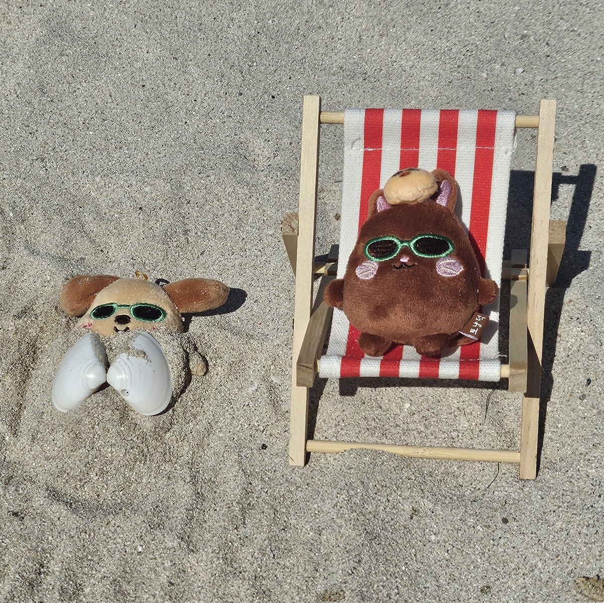 BRIIZeeeeeeeee's tweet image. Hot Hot Summer ⛱️😎