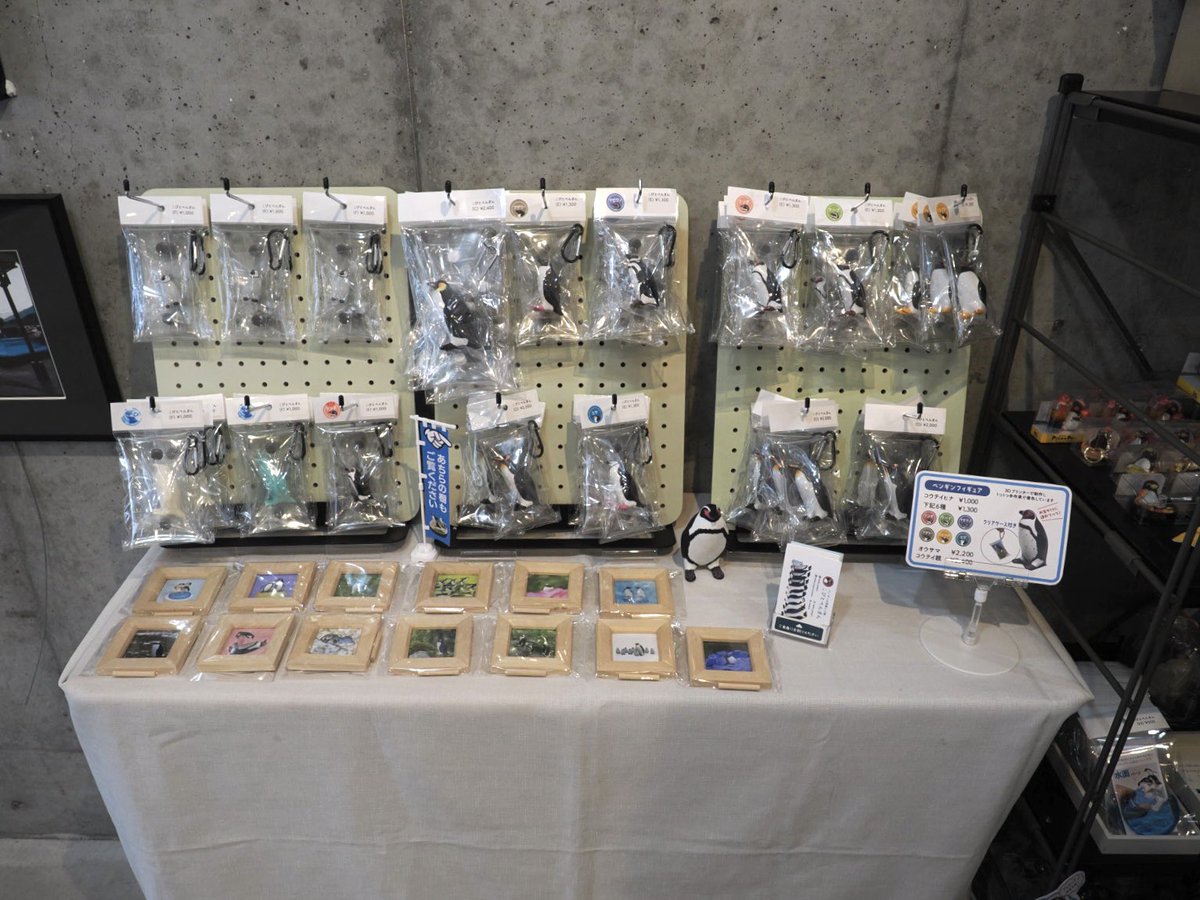 kobito_penguin's tweet image. ペンぎょ展in名古屋開催中🐧✨
追加納品してきました!
お客様たくさんご来場くださって嬉しい☺️
tgs.jp.net/event/pengyo/
#ペンぎょ展
#ペンぎょ展2025
#ペンギン
#penguin
