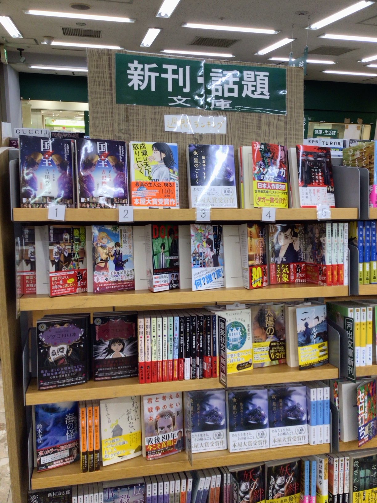 池房専好 『 立花 』 陽明文庫蔵 講談社 希少資料 定価53000円 池坊専好 立花 陽明文庫蔵 講談社 - メルカリ