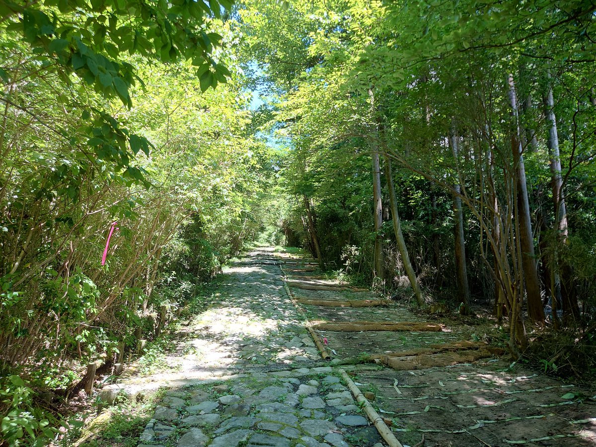 PathToDepravity's tweet image. めっちゃ夏。10分くらい登山させられてる