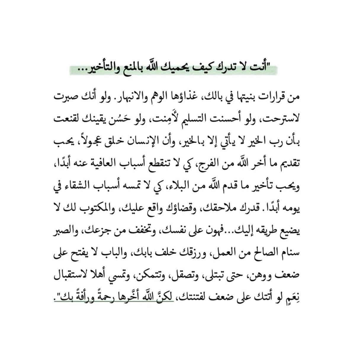 أديب tweet media