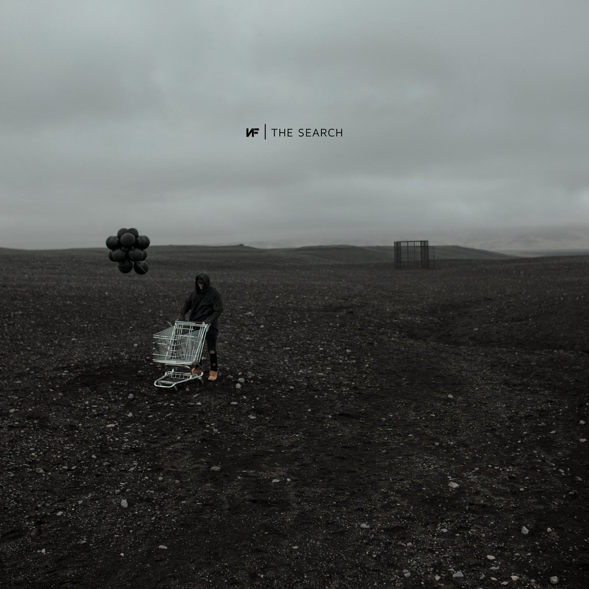 tyler_ryall's tweet image. happy 6th birthday to The Search!
(one of the best albums ever) @nfrealmusic