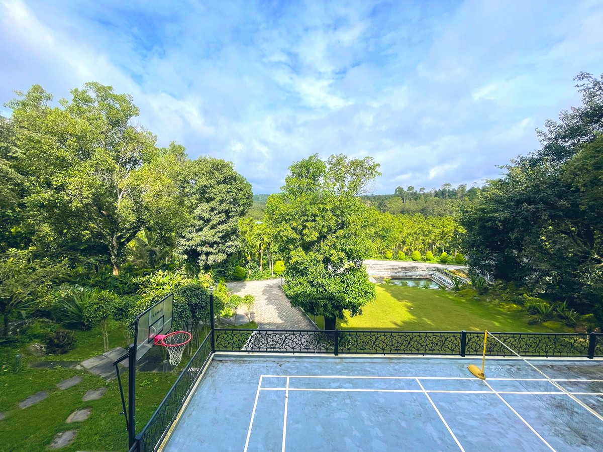ayushpranav3's tweet image. morning mist, endless greens, and coffee in the air 🏨