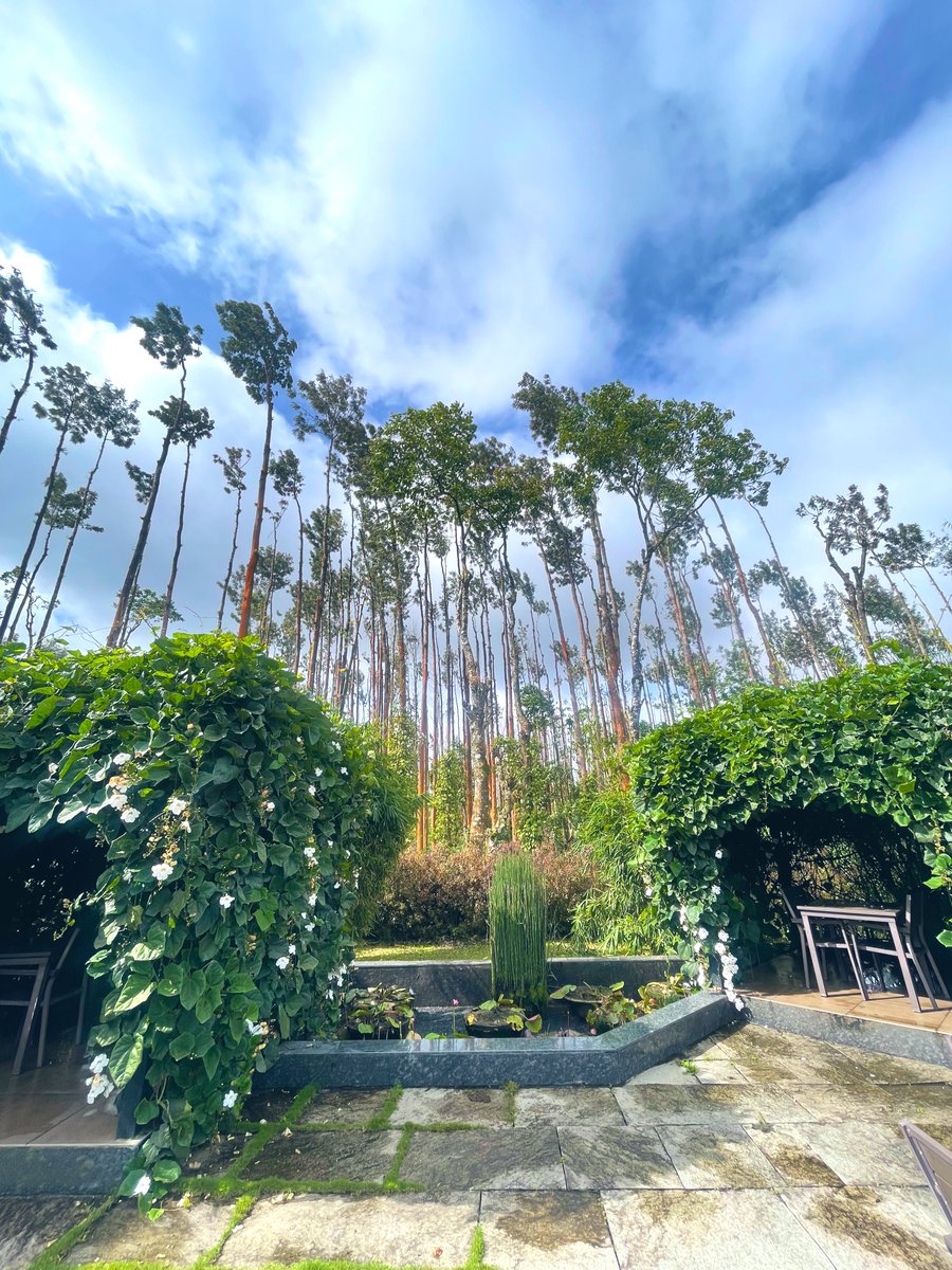ayushpranav3's tweet image. morning mist, endless greens, and coffee in the air 🏨