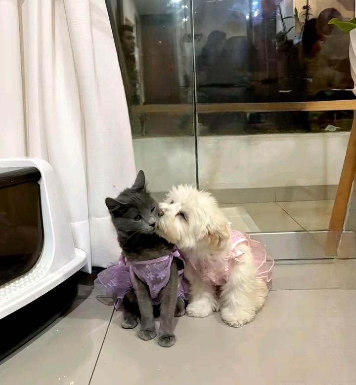 bidyuhan's tweet photo. https://t.co/8gBLcsxCE1