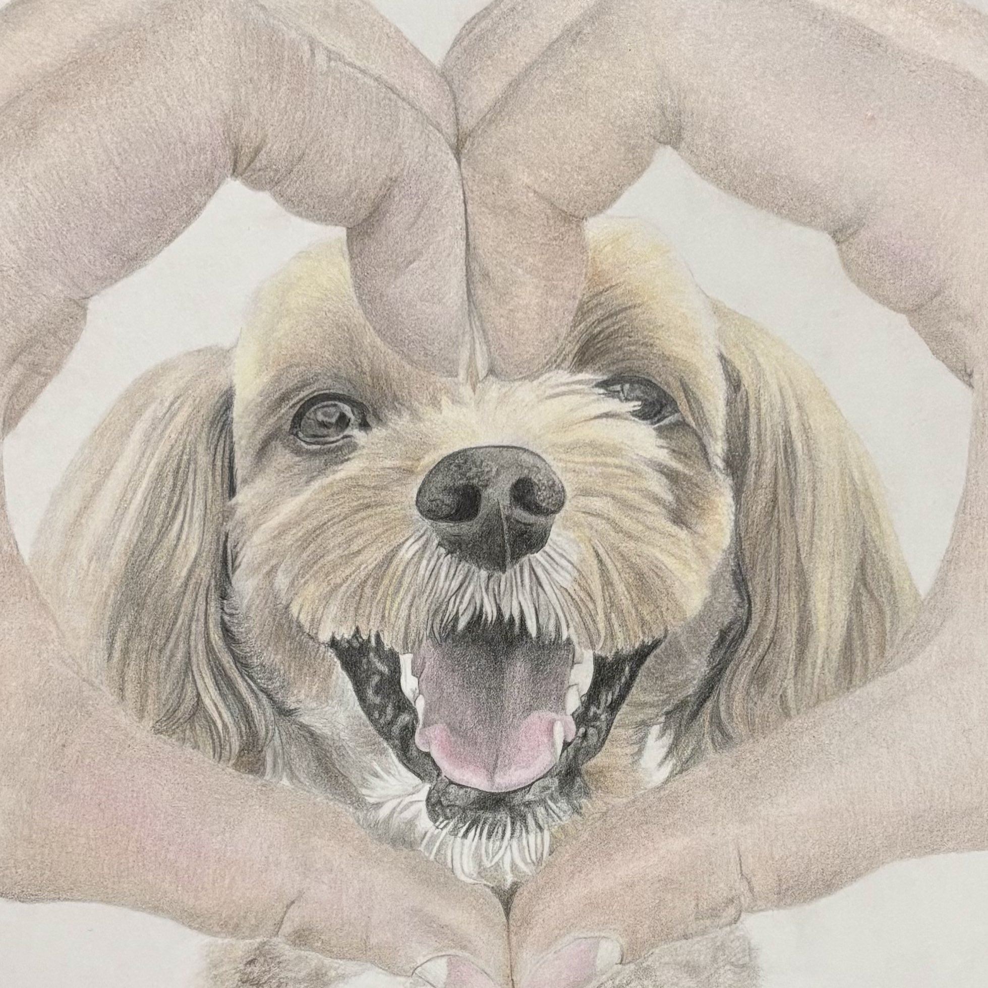 油絵　FUUTA　友だちの卵を守る犬 まゆたま on X: 