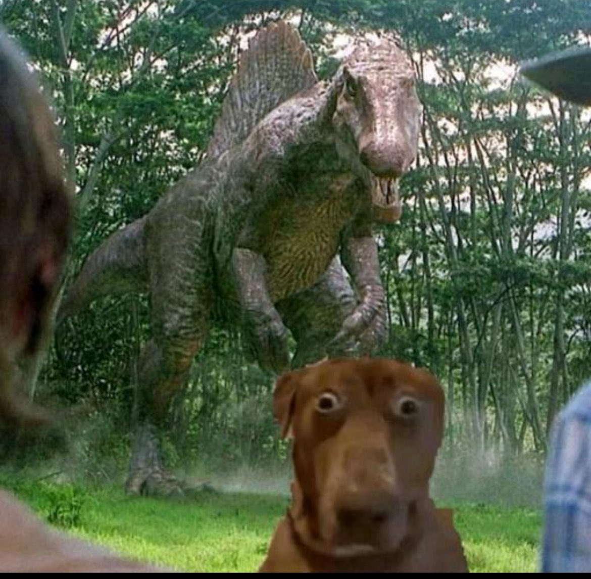 ohjazzyjazzy's tweet image. HAPPY GILMORE 2 was hilarious and had me laughing the whole time.