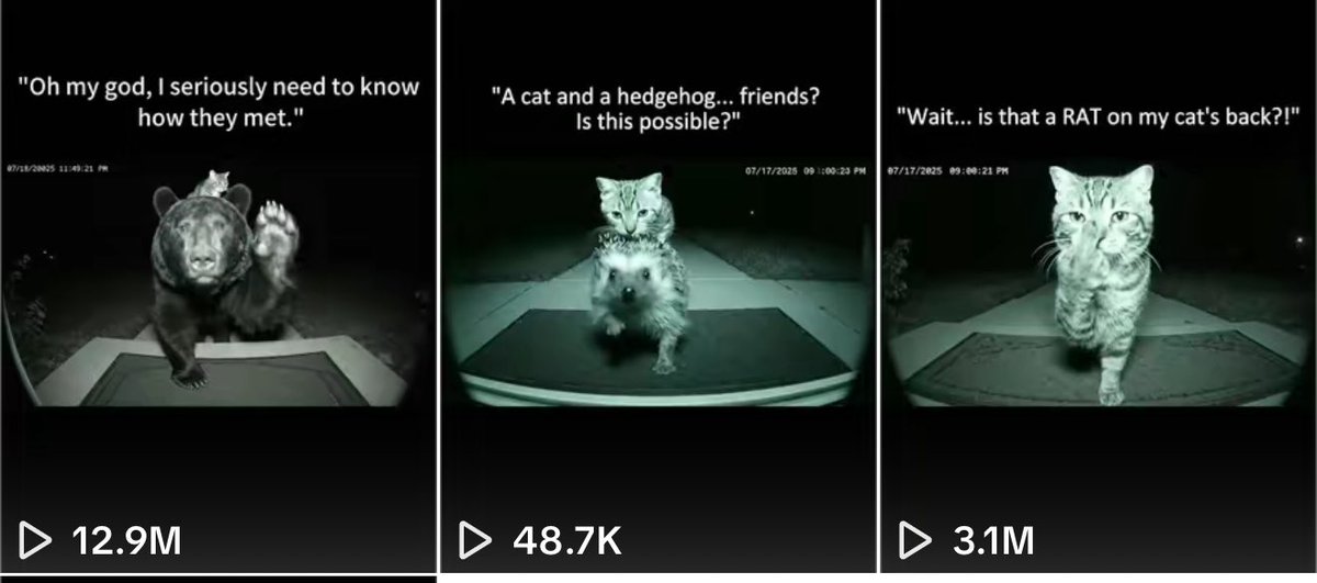 Digital__Liquid's tweet image. The views are stacking
Are you Mimilined?
Main video is at 28m now too🐈⬛