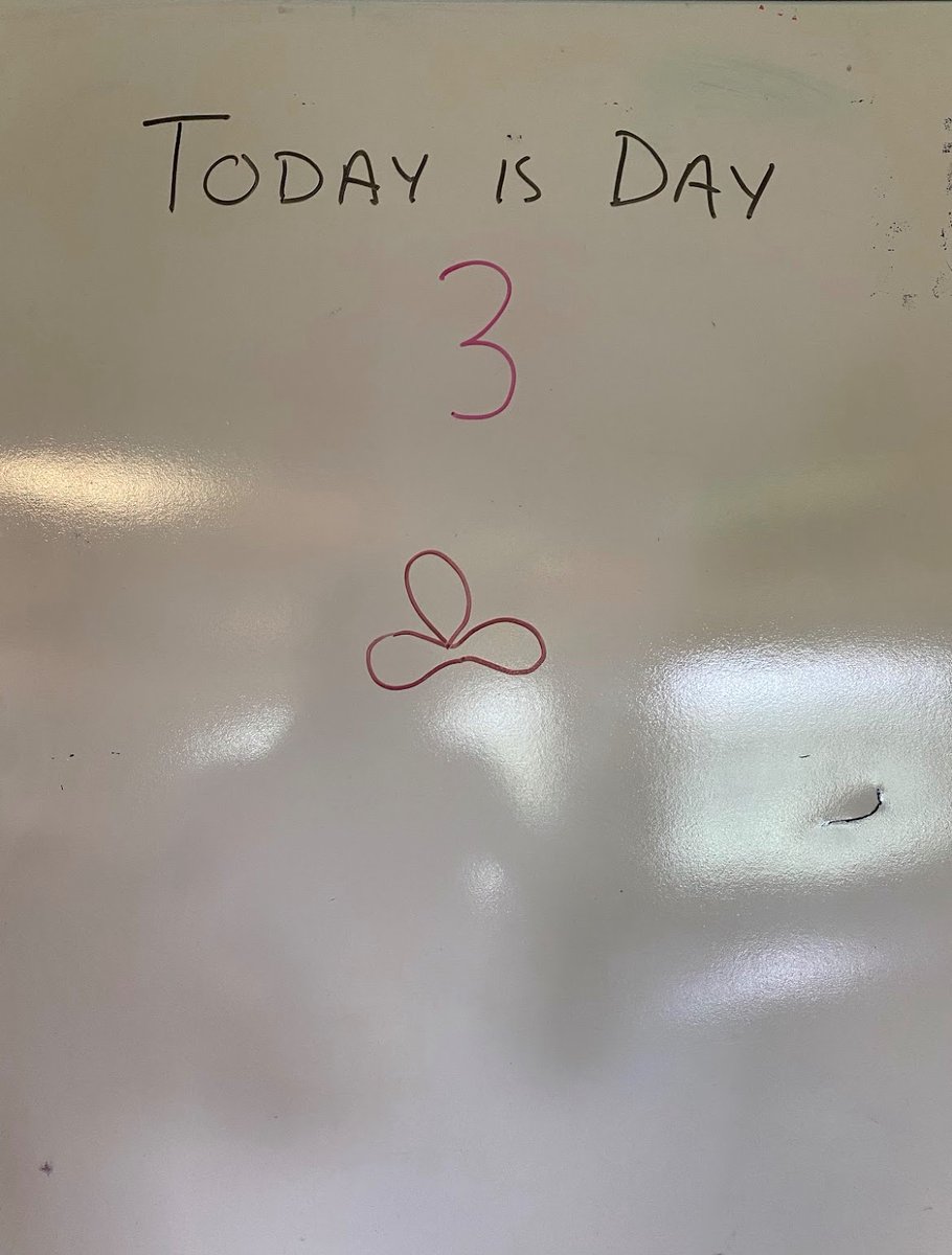 YeastCourseCSHL's tweet image. Day 3 at #YGG2025 and the lab is buzzing. We’re diving into everything from PCRs to microscopy and dissection practice. The learning curve is steep, but exciting🔬