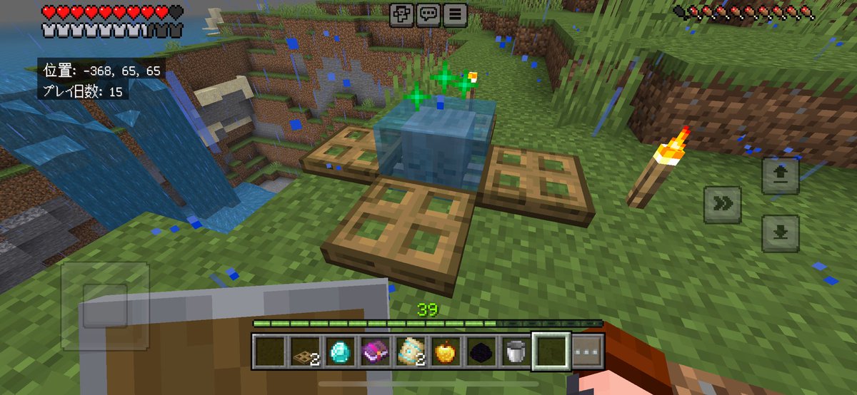 無事エンドラRTAが終わり、ドライガストも連れて帰れました。何度か夜をベッドスキップ更には寄り道もしましたが、プレイ日数14日で時間換算だいたい2時間半でした。けっして早くは無いけど、しっかり遊べたので良かったです。またチャレンジしてみたいですねぇ。
#Minecraft #マイクラ #RTA旅行