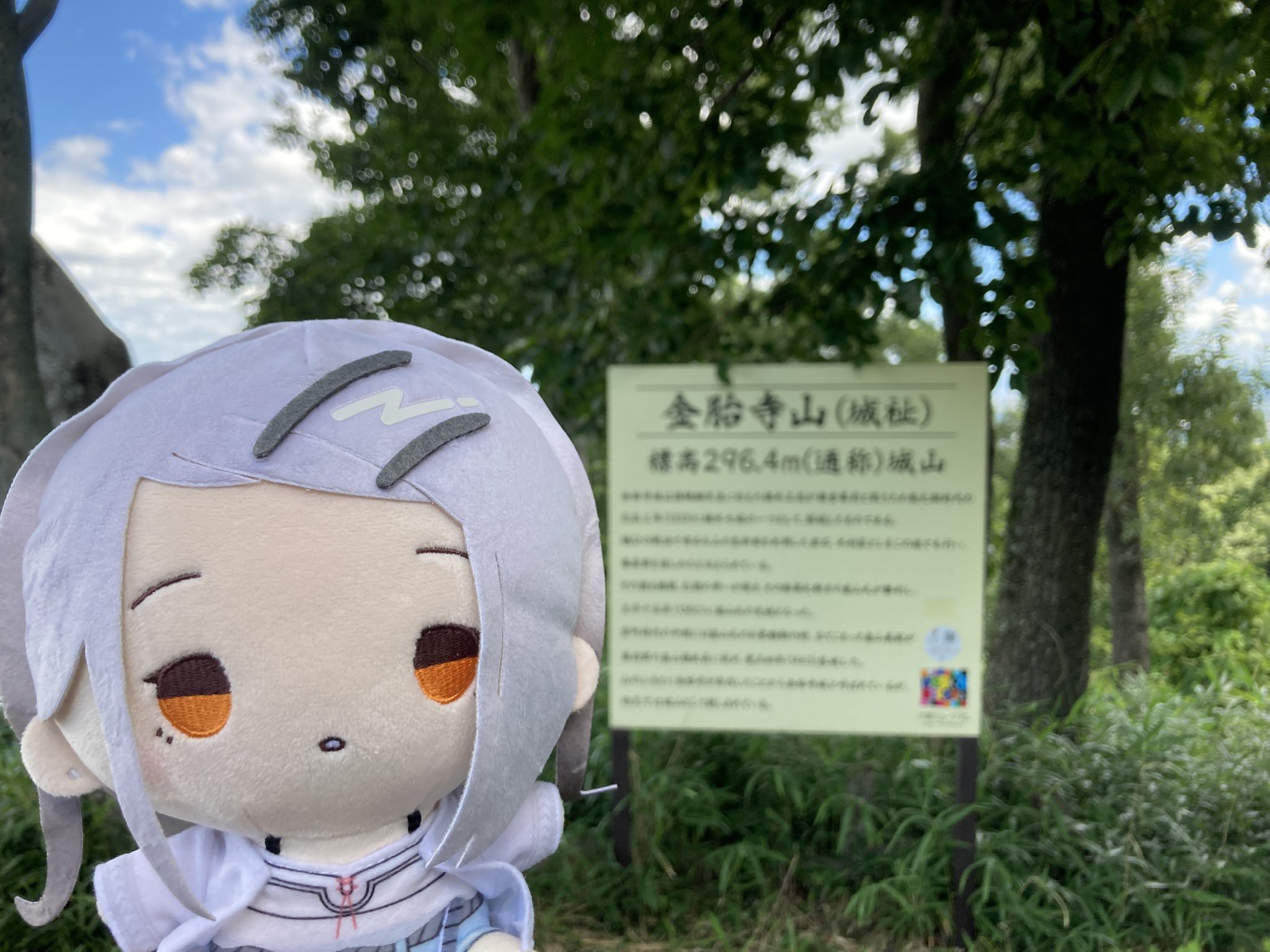 【白藤•*¨*•.¸♬︎⠀】 藤白⭐️🌠 on X: 