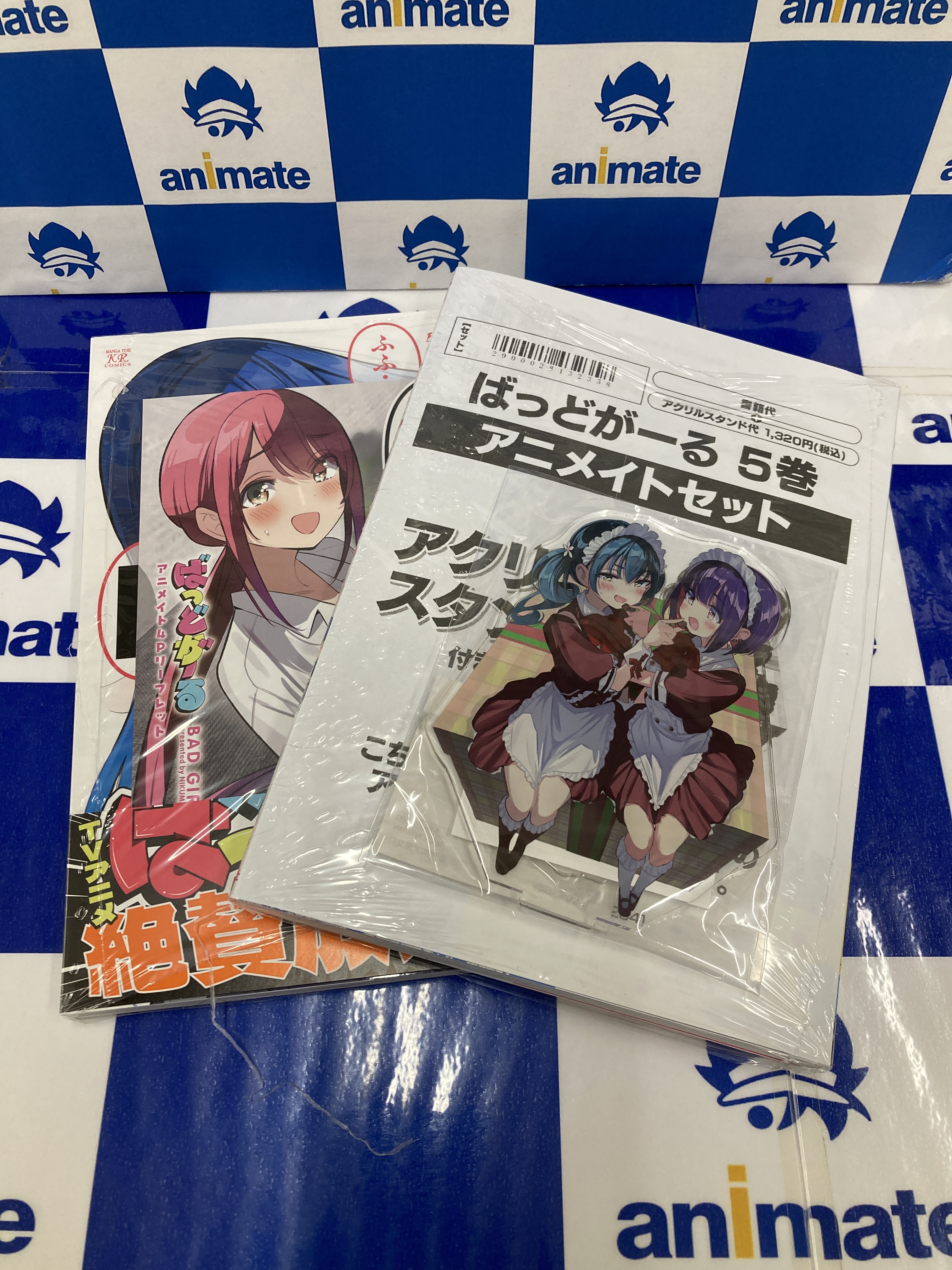 アニメイト ビジュアルボード ・ リーフレット 極楽街 アニメイト特典 B6サイズ ビジュアルボード - メルカリ