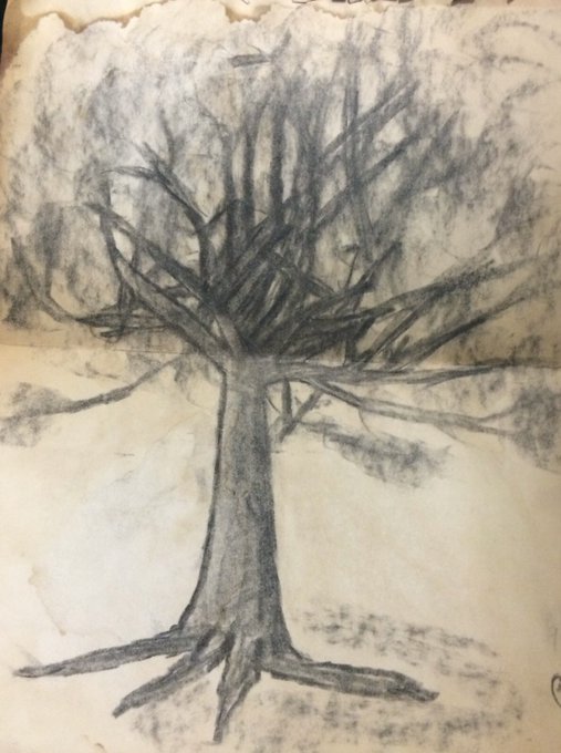 MartianOrthodox's tweet image. I did this charcoal drawing in 1981 of a tree at my childhood house. I must have read thirty books sitting in the shade with my back up against its trunk. I remember 'Treasure Island' & 'The Call of the Wild' were two.
But it has been dying slowly & near the house, so it needed…