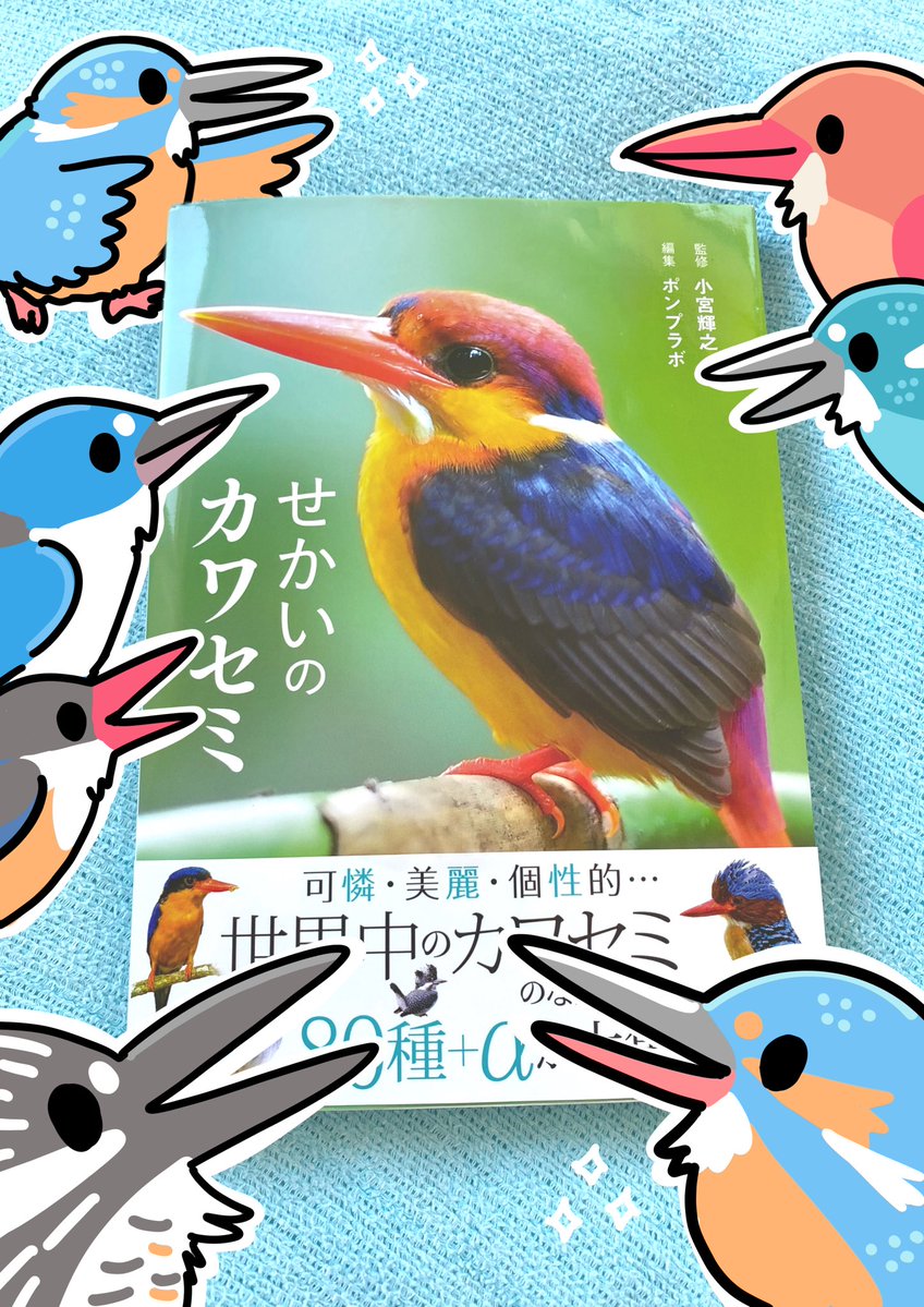 kingfisher0803's tweet image. 世界のカワセミぎっしりな本📕
『せかいのカワセミ』(小宮輝之氏 監修/ポンプラボ 編集/カンゼン)
ソニードリ、大変ありがたいことに4ページ寄稿させていただきました🧡🩵
80種以上のカワセミたちの魅力が詰まった一冊、ぜひお手に取ってみてください!
kanzen.jp/book/b10137379… せかいのカワセミ