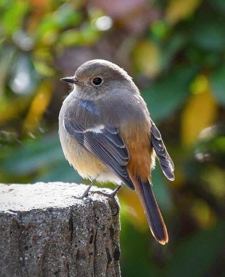 أحياناً لا نعلم اين تسير بنا الحياة.. ولكننا نكمل ونحن على أمل أن نجد نهاية تنسينا مشقة الطريق...