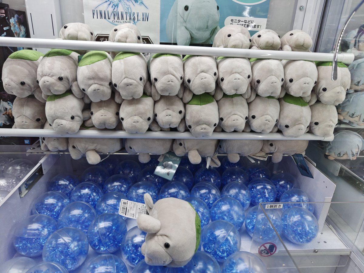 violet_HM10's tweet image. いっぱいいすぎワロタ