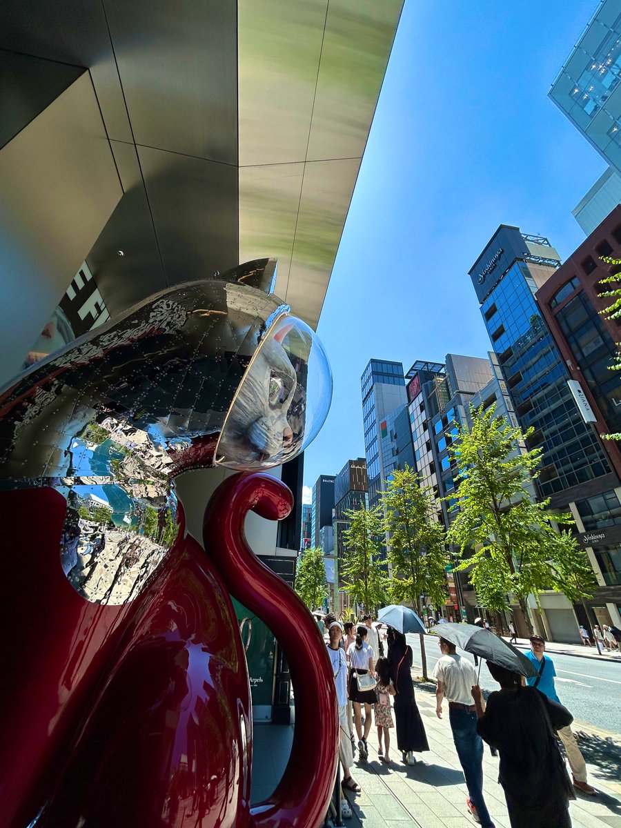 expo2025_cat's tweet image. いよいよファイナル(9/4まで)
この空間展示ほんと圧倒的
1Fエントランスの「SHIP’S CAT Cosmo Red」カッコいい
4F TSUTAYA
名和晃平「Throne (g/p_ boy)」
漆と金箔を纏う少年
やられた…
#GINZASIX
#ヤノベケンジ