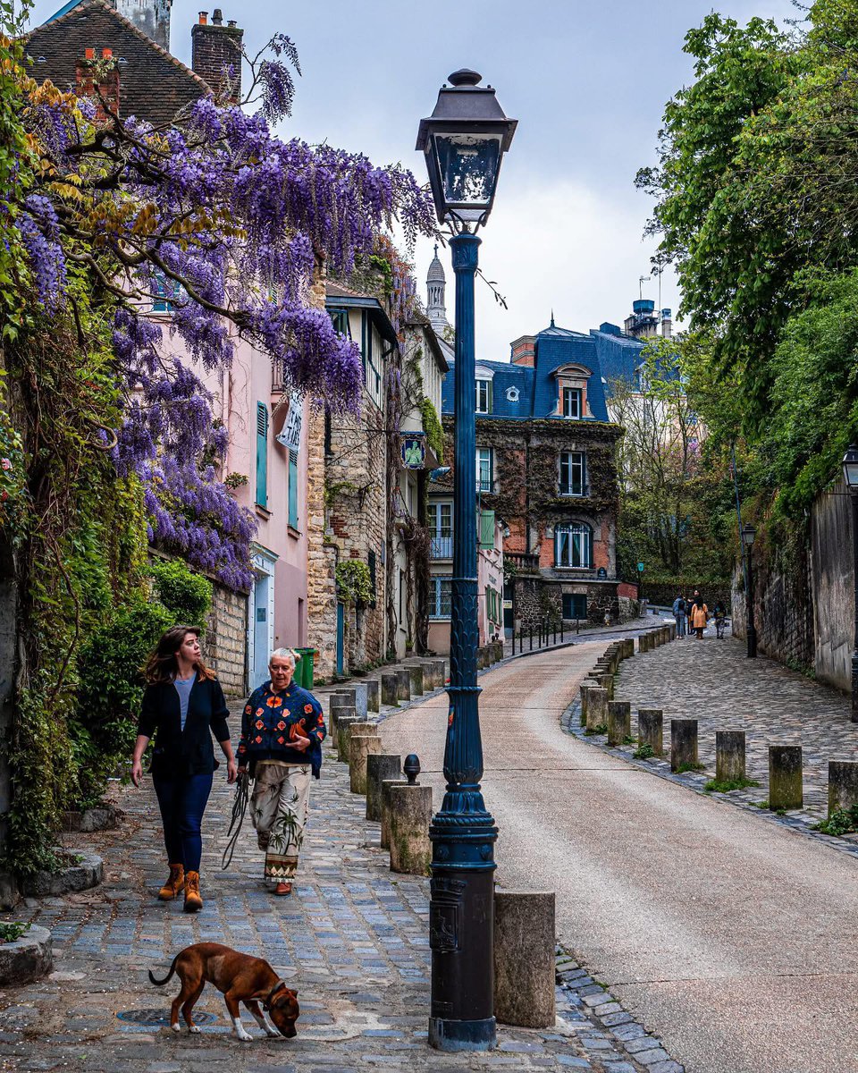ConfidentialUn's tweet image. Rue de l’Abreuvoir, Paris, France
One of Montmartre’s most picturesque streets, where ivy-covered facades, cobbled curves, and blooming wisteria lead toward the distant dome of Sacré-Cœur
Photographer: Christophe Puechavic - @petch77
#Europe #travel