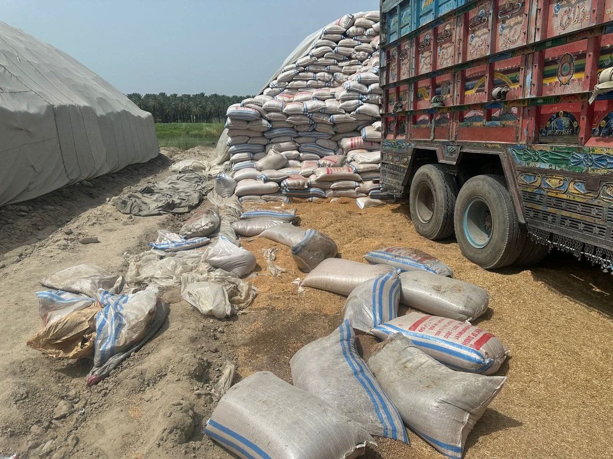 sassui786's tweet image. Mahesro wheat stock checking.

 فوڊ انسپيڪٽر ثابت ڪڻڪ
 بارش جي ڪري خراب ٿي وئي

ماڻھو بک وڳي خودڪشيون پيا ڪن ھتي ڪڻڪ جا گودامن جا گودام خراب ٿيو وڃن.

خدا جو ڏمر ھوندا آھن اھڙا حڪمران.