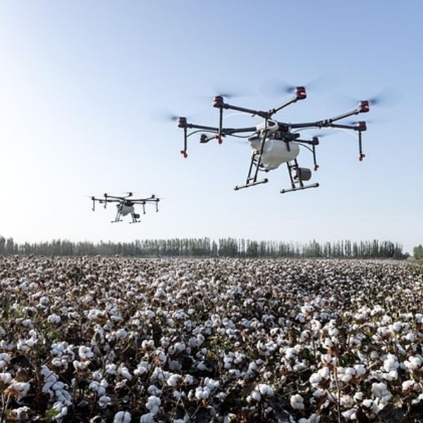Controlli agricoli più rapidi e precisi con droni e AI: parte il progetto <a href="/Agea_gov/">Agea_gov</a> - <a href="/avepa_social/">AVEPA</a> 
Un nuovo modello di monitoraggio per un’agricoltura più efficiente e sostenibile.
#agritech #droni #AI 
geosmartmagazine.it/2025/06/26/mon…