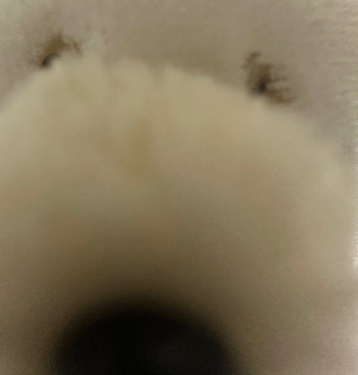 simainusima's tweet image. 