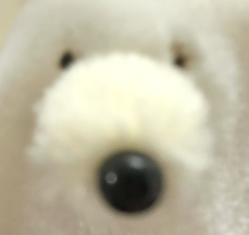 simainusima's tweet image. 