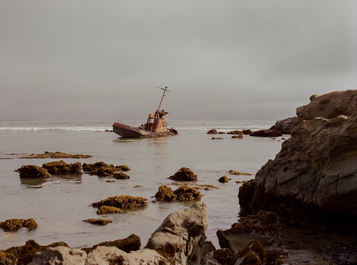 IArtyomenko's tweet image. Mamiya RB67 
Kodak Gold 200 and Portra 800