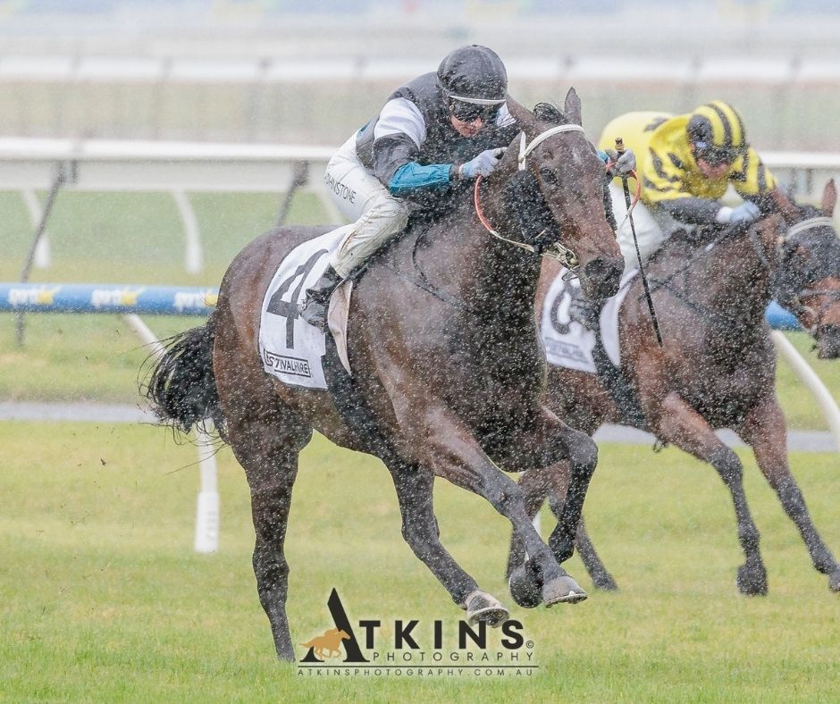 terry_hann's tweet image. Peter & Belinda Blanch, Taylor Johnstone and Lingani teamed up to win the Festival Hire Handicap at Morphettville.
Photos ~ AtkinsPhotography.com.au
Pre-race photos ~ AtkinsRacing.com.au
@RacingSA @SAJockeyClub @shieldsy101 @belindablanch1 @deanpet74