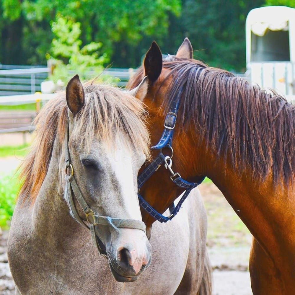 لا تسمح لأحد بأن يُعيّرك بماضيك .. المهم ما أنت عليه اليوم ..الجميع ارتكب الأخطاء ولكن القليل من تعلم وتغيّر ...