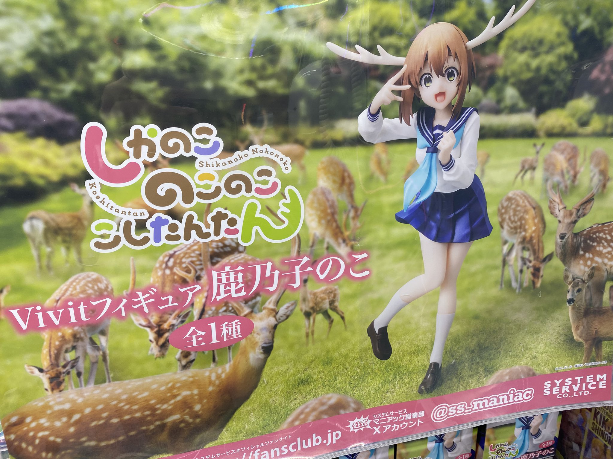 トレトレ倉庫 豆津バイパス店 【アミューズ🦍】 on X: 