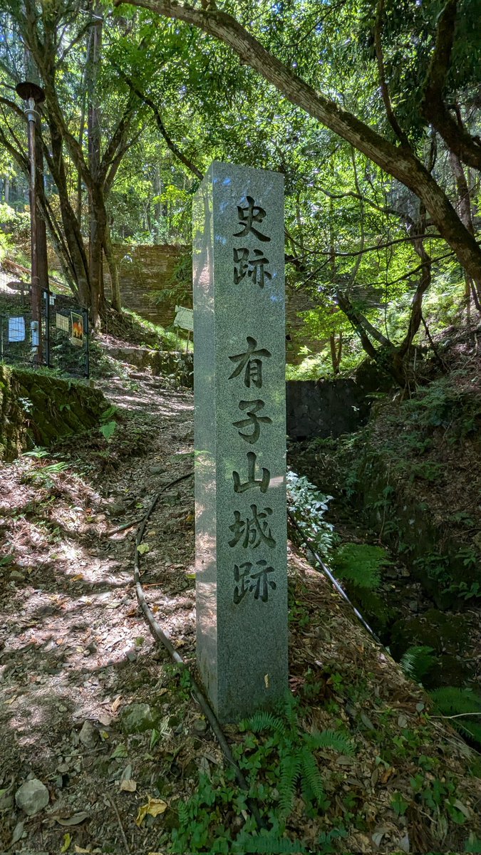 etoogaku's tweet image. 城山の主は有子山城へ登る渓谷に現れたそうな。
主は白装束に緋袴を履いたとんでもなく顔の大きいお多福だとか、あるいは長さ約3~5mの柘植の櫛だと言われている。主は毎月7のつく日限定で現れるため、その日は城山へ登ることを禁じていたという。
顔デカお多福もだけど櫛姿の主って珍しいね。