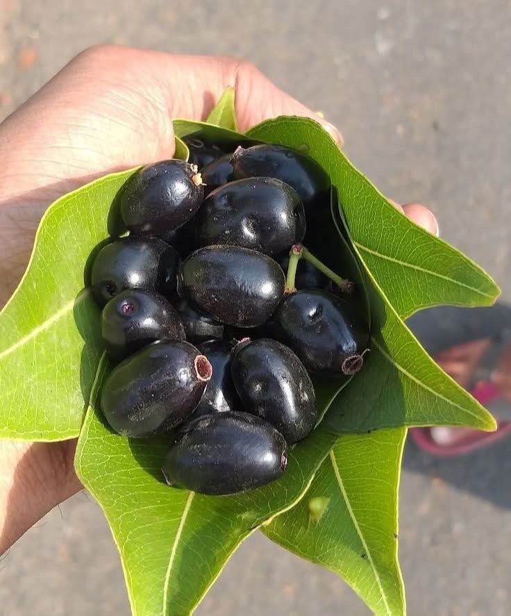 AkhandanandDu's tweet image. पुरुष लोग दीवाने हैं गुलाबी के,
लेकिन छोड़ते काली जामुन भी नहीं है..!!
😍😋