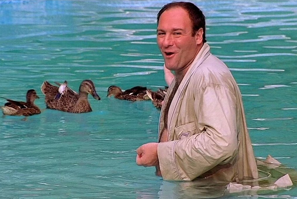 NotRyanMcD's tweet image. This would be a cool painting. My wife loves ducks, and we both love the Sopranos, and she&apos;s from North Jersey. Yep. I think im gonna commission a painting of this.