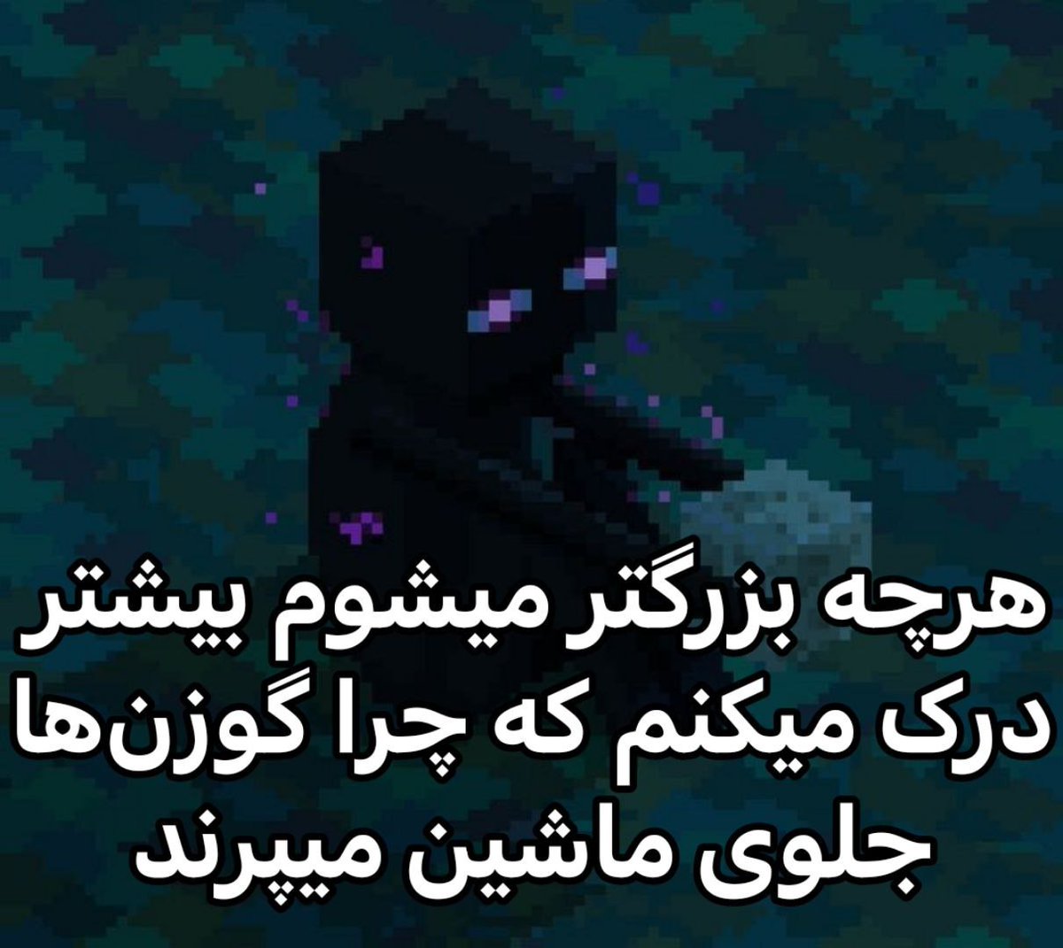 379Talks's tweet image. 
