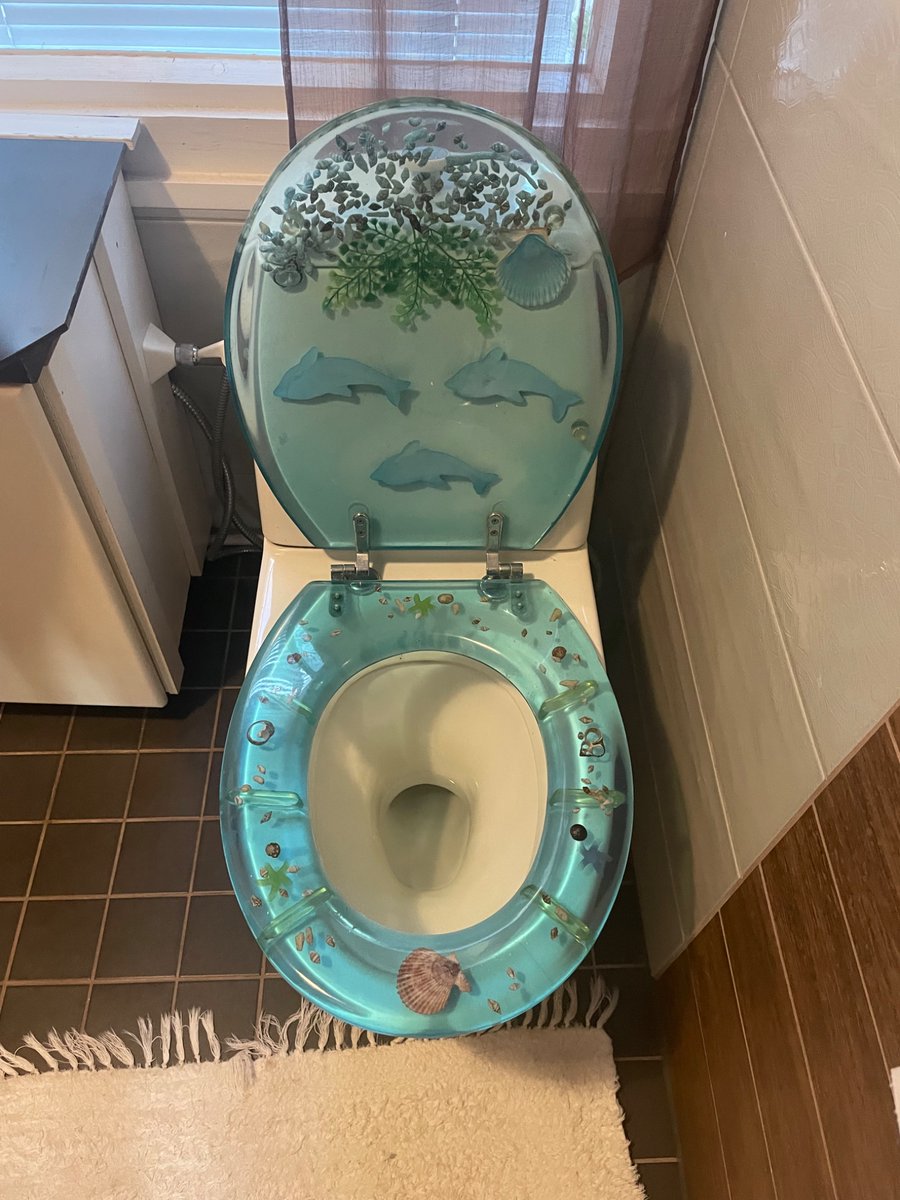 orankiro's tweet image. got high last night and my gallery is full of photos of this toilet in our airbnb
