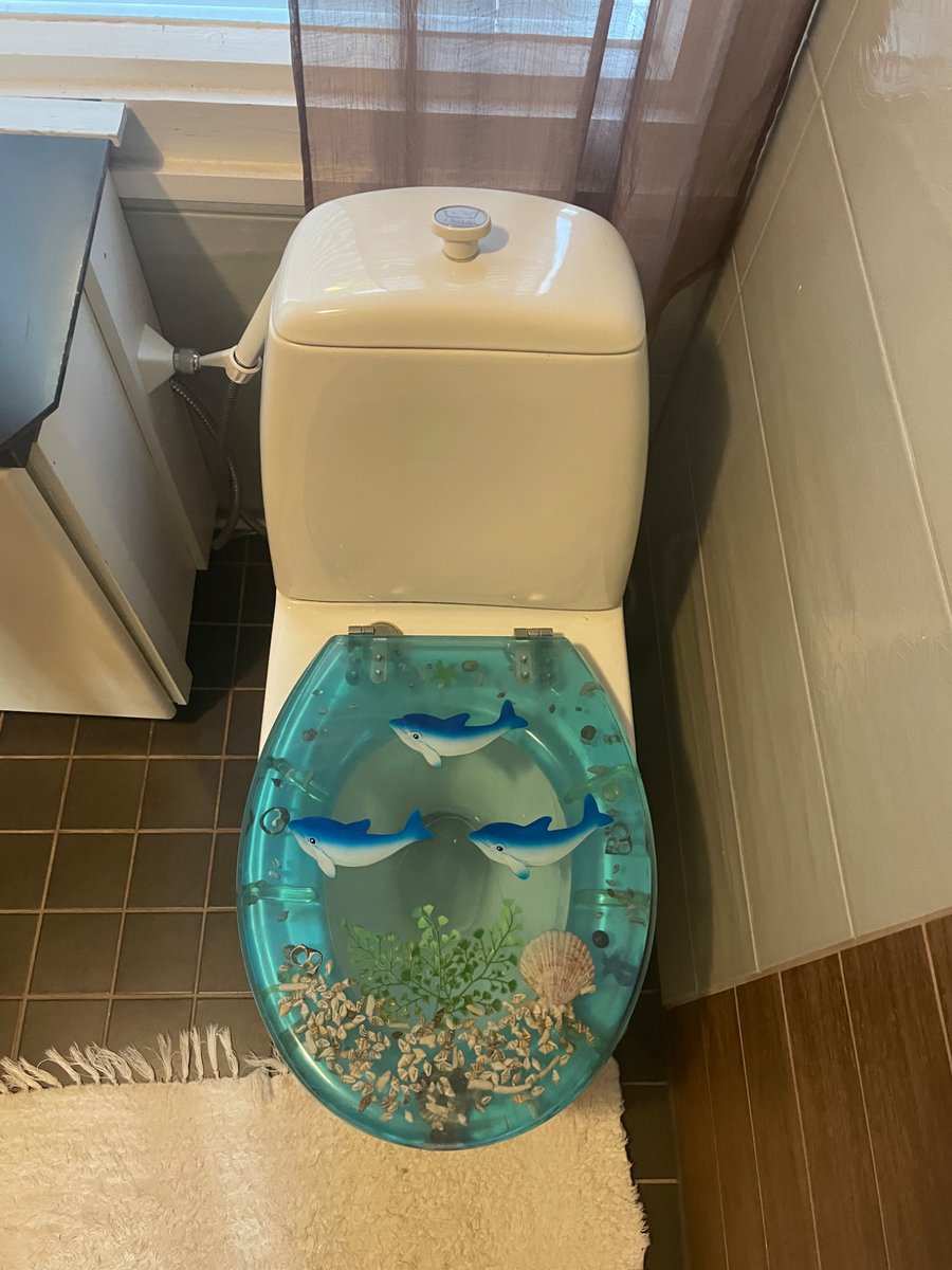 orankiro's tweet image. got high last night and my gallery is full of photos of this toilet in our airbnb