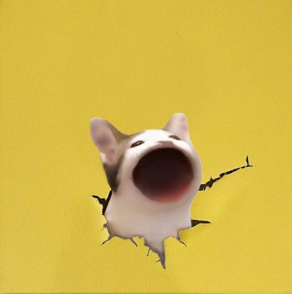 FrenOfYoda's tweet image. Waking up super bullish $popcat
Going to bed super bullish $popcat
My only problem is how do I stack more Popcat before it starts to really run?