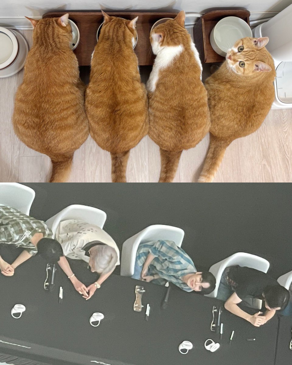 satton1206's tweet image. 