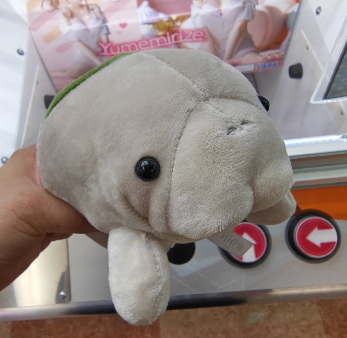 violet_HM10's tweet image. あまりに転がりすぎて定員さんに取らせてもらった( ˇωˇ )
みよ、このサービスをwww
