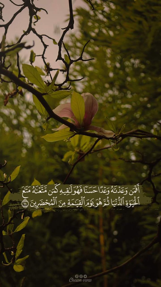 almoshaf_algame's tweet image. 