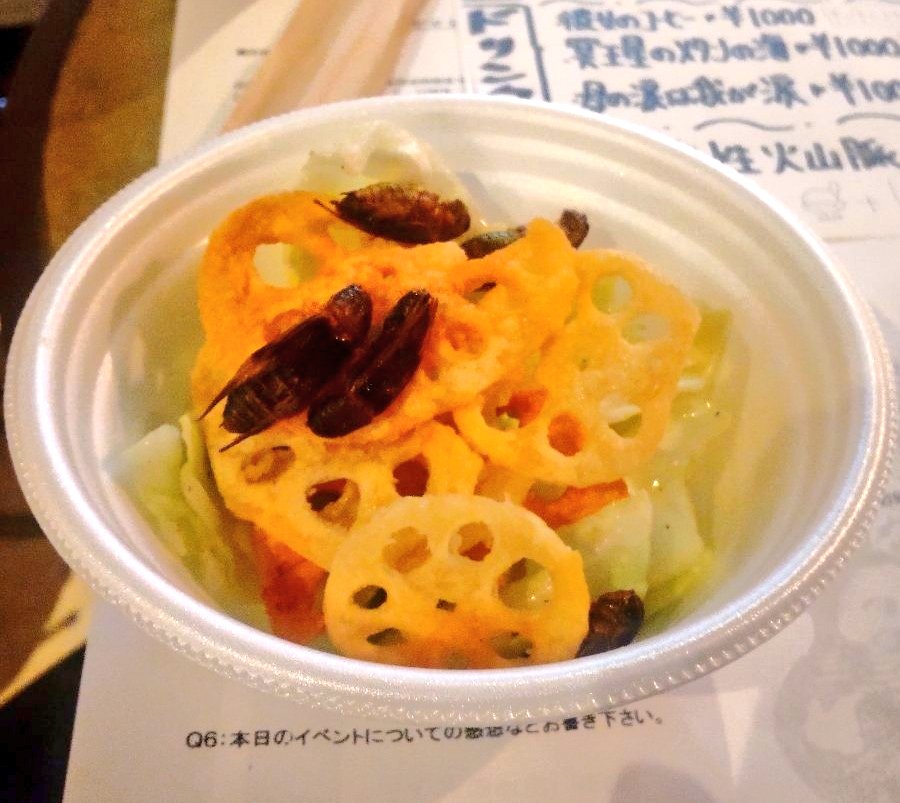MT68529462's tweet image. 「昆虫惑星の野菜沢」(塩だれキャベツ+きゅうり+れんこんチップス+食用コオロギ)と「これが私の最後の決め手カモ」(カモロース丼+ブルーソース)
#ヤマト講座