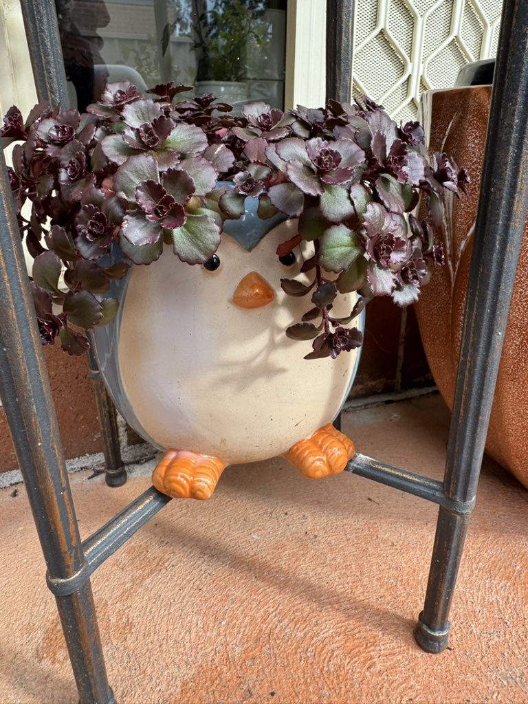 RoxyTall's tweet image. I love my chicken planter that looks like a zoomer with broccoli hair. He would make a killing on TikTok