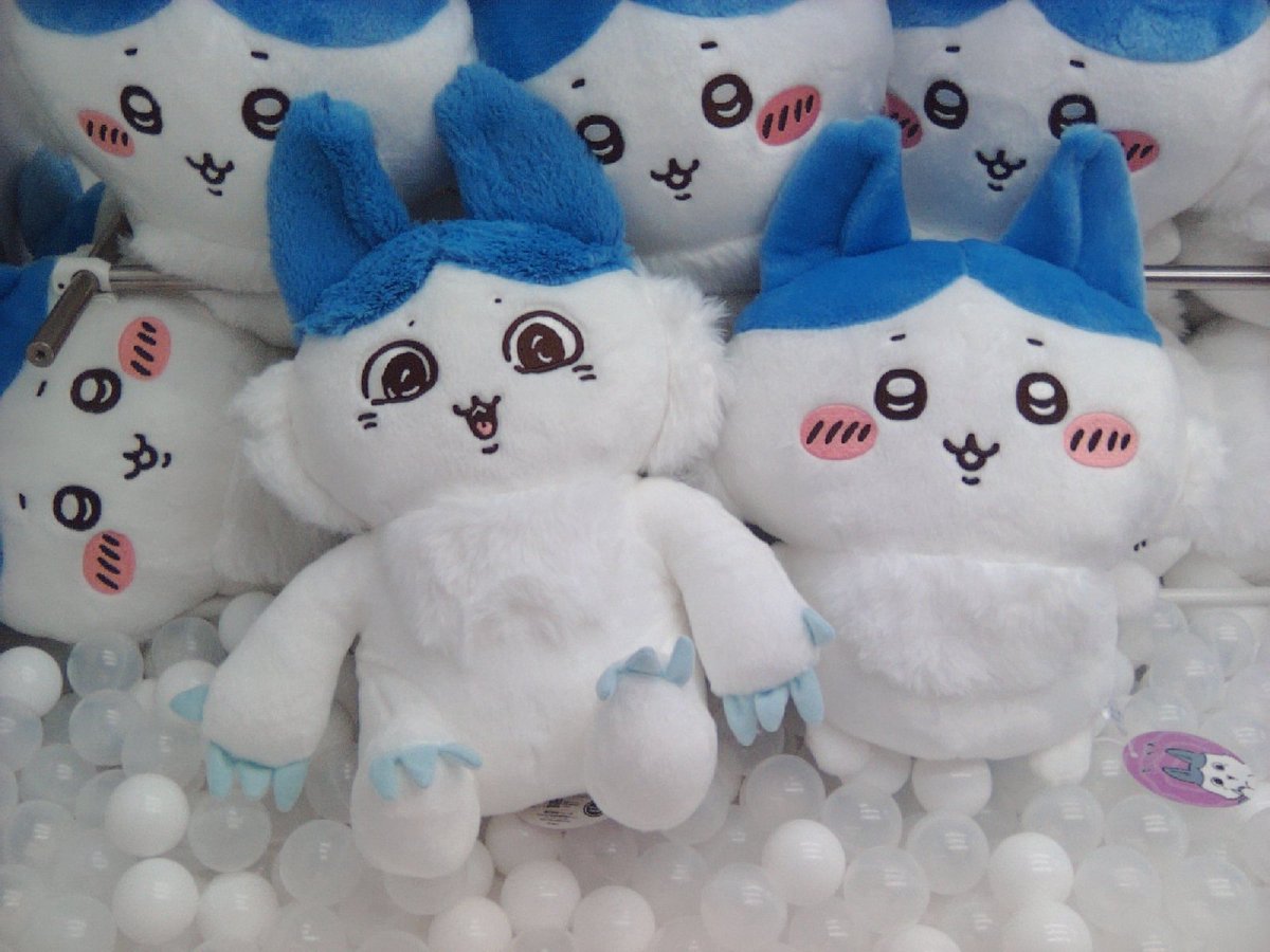 空港限定ハチワレセット タイトーFステーション三宮西館店 on X: 