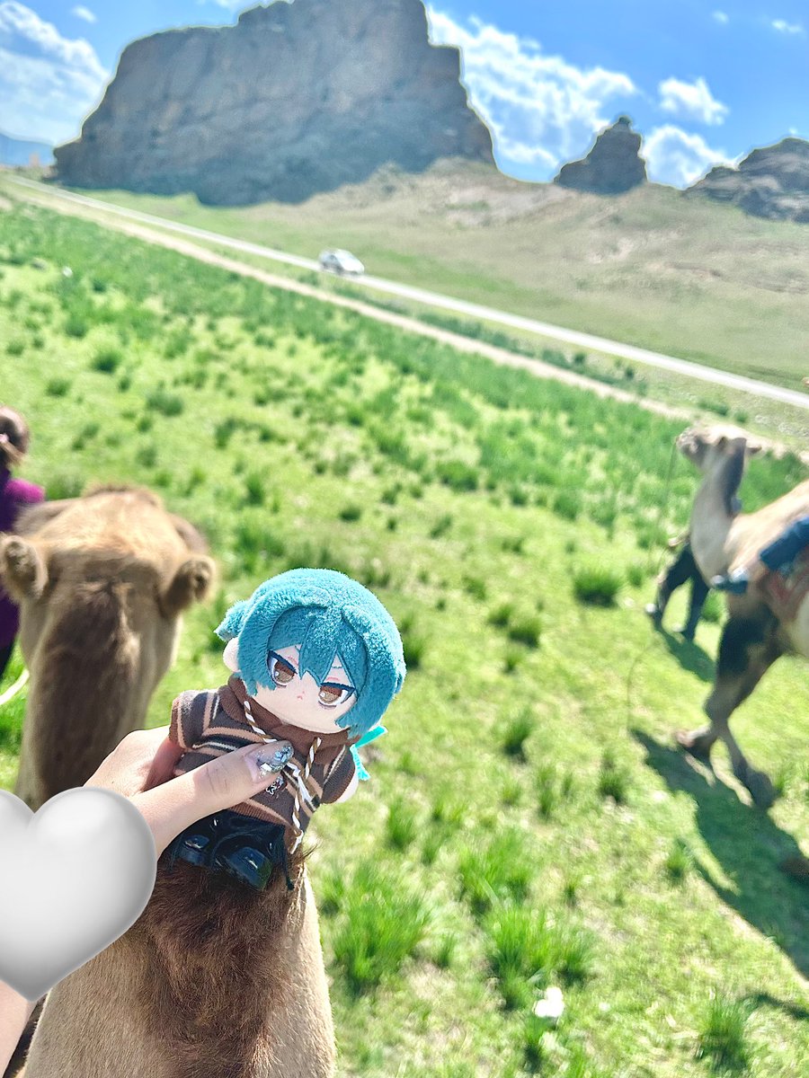 nomu_nui's tweet photo. ぬいと旅行🐪🌌 楽しかった〜！ https://t.co/Np61KHgkpr
