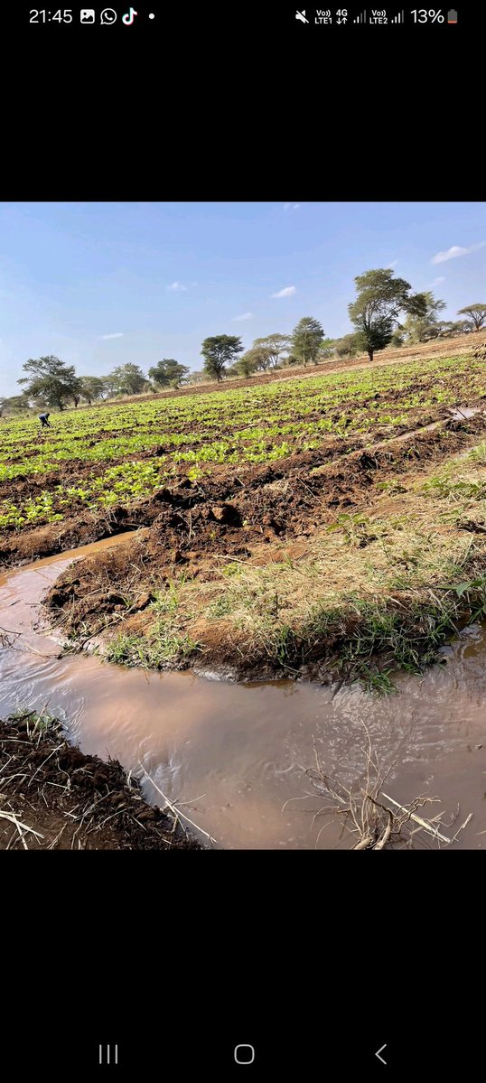 WashKisumu's tweet image. Day 2:
As we walked along the R. Nooltresh in #JourneyofWater, a key observation was the diversion of the river water to private irrigation. These diversions have disrupted the natural flow of the river having implications especially downstream such as water availability .