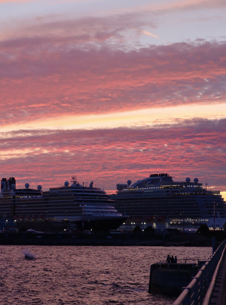 snufflewort's tweet image. When I say the cruise ships at Victoria breakwater cramp my sunset photography, this is what I mean. #fuckcancer #nofilter
