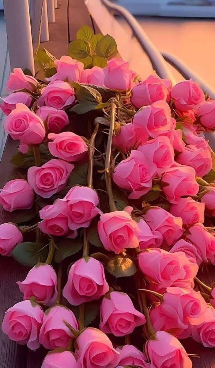 مهما رمت الحياة أثقالها على عاتقك
أعلم أن الله لايكلف نفسا إلا وسعها
واطمئن 
صباحكم خير ونور وعافيه ٠٠٠💞